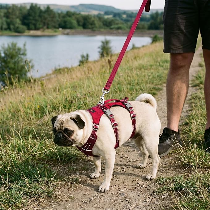Tuff Pupper Escape Proof Dog Harness for Extra Small Dogs | No Pull Lightweight Adjustable Harness | No Escape Multifunctional Outdoor Pet Gear | Strong Durable Breathable | Secure Comfortable Fit