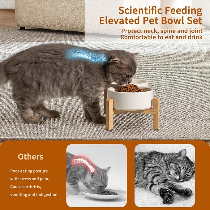 Elevated Ceramic Dog Bowl Set - Raised Feeding Bowls with Non-Slip Bamboo Stand - Small Pet Dishes for Food and Water - Ideal for Cats and Puppies - 16.23 OZ - 2 Cups - 480 ML | 5.1'' Double Dog Feeding Dishes, Non-Slip Raised Dog Feeder for Cats and P...