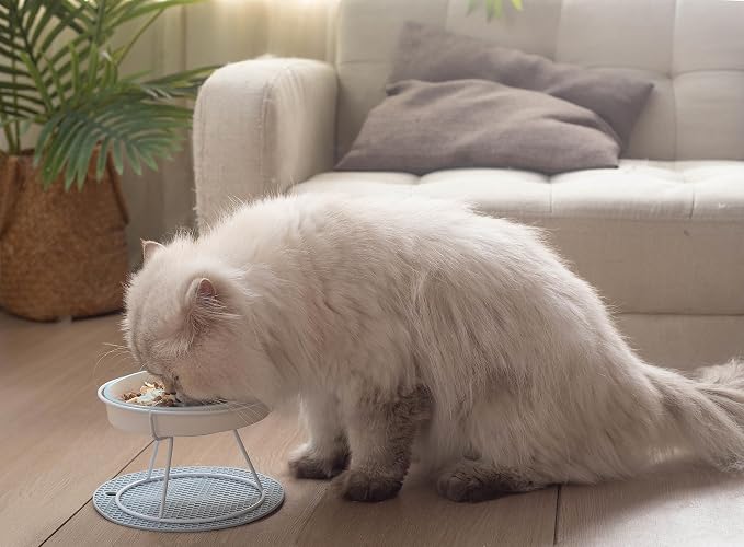 Ceramic Fish-Bone Slow Food Bowl for Cats and Dogs, Dishwasher Safe, Non-Toxic, Engaging Design, Prevents Obesity | Ceramic Bowl Elevated Anti Vomit Whisker-Friendly Wet & Dry Food