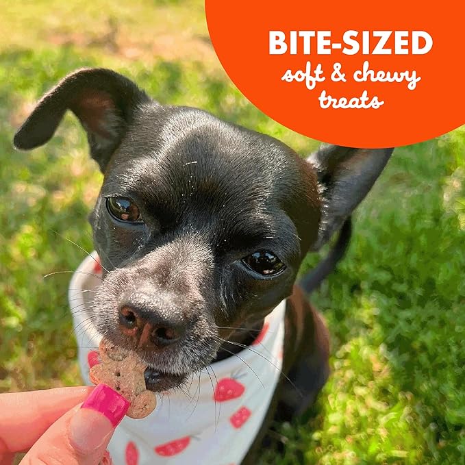 Buddy Biscuit Softies 20 oz Pouch, Soft & Chewy, Natural Peanut Butter Flavor Dog Treats, Oven Baked in the USA