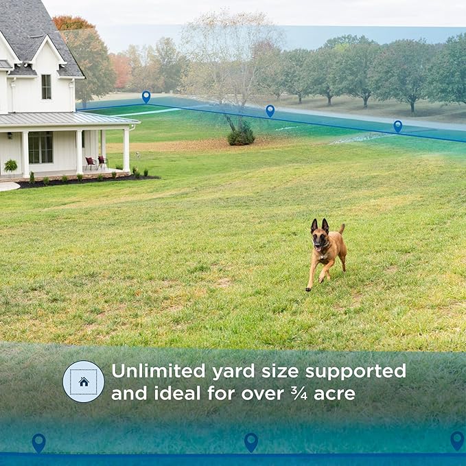 PetSafe Invisible Fence GPS Dog Fence & Tracking Collar Bundle - Wireless GPS Tracker Collar with Red Training Flags & Treat Bag - Waterproof - Medium & Large Dogs - 1 Year Subscription Included