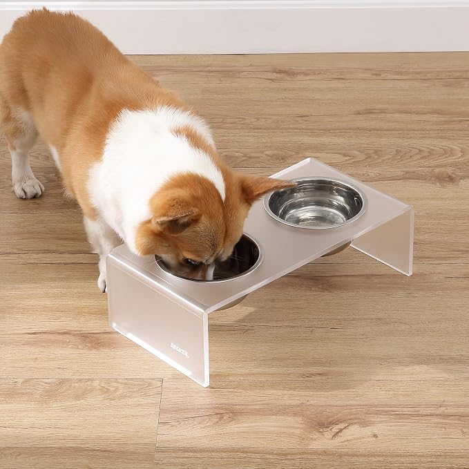 DBL2000K Keaton 5" Small/Medium Modern Acrylic Rectangular Elevated Pet Feeder with 20oz 2-Stainless Steel Bowls, Moon White/Chrome