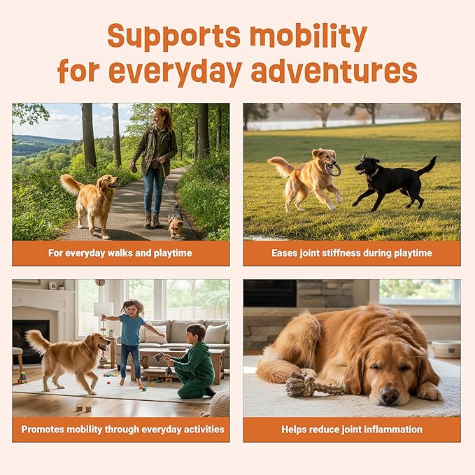 Gruffies Organic Hip & Joint Dog Treats Natural Joint Supplement for Dogs with Turmeric & Ginger, Healthy Peanut Butter Treats for Mobility, Vet Approved, Non-GMO, Made in Canada, 6 oz (Pack of 6)