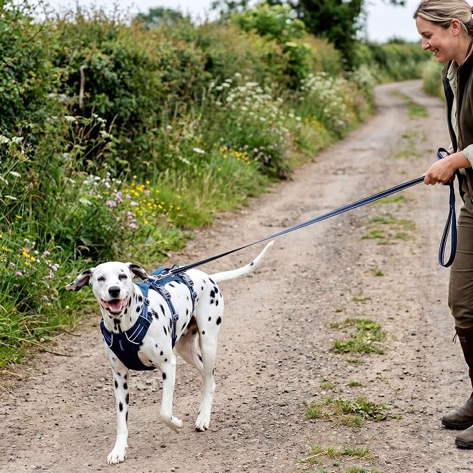 Tuff Pupper Escape Proof Dog Harness for Extra Large Dogs | No Pull Lightweight Adjustable Harness | No Escape Multifunctional Outdoor Pet Gear | Strong Durable Breathable | Secure Comfortable Fit