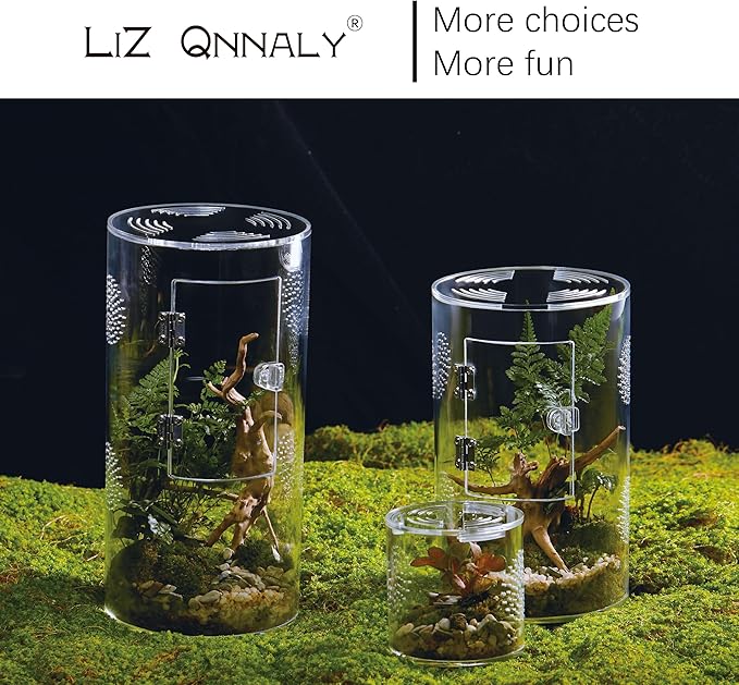 Acrylic Terrarium for Reptiles & Spiders – Small/Medium/Large Leak-Proof Enclosure (Horizontal/Vertical) | Ideal for Tarantulas, Jumping Spiders, Frogs & Geckos(Large, Round)