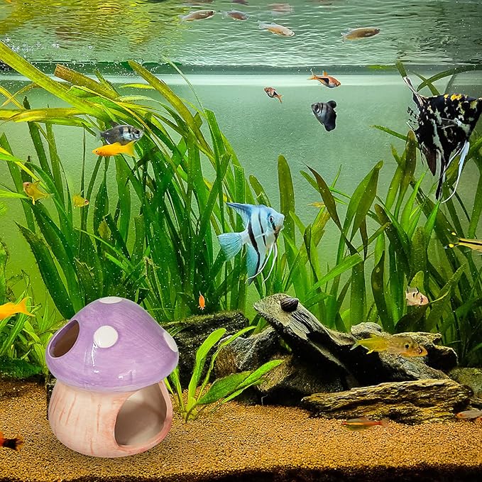 Saim Ceramics Mushroom House Aquarium Decor, Betta Fish Tank Accessories Landscape Decoration, Small Shrimp Goldfishes Habitat Hut Pleco Smalland Breeding Hide Caves Toad House - Purple