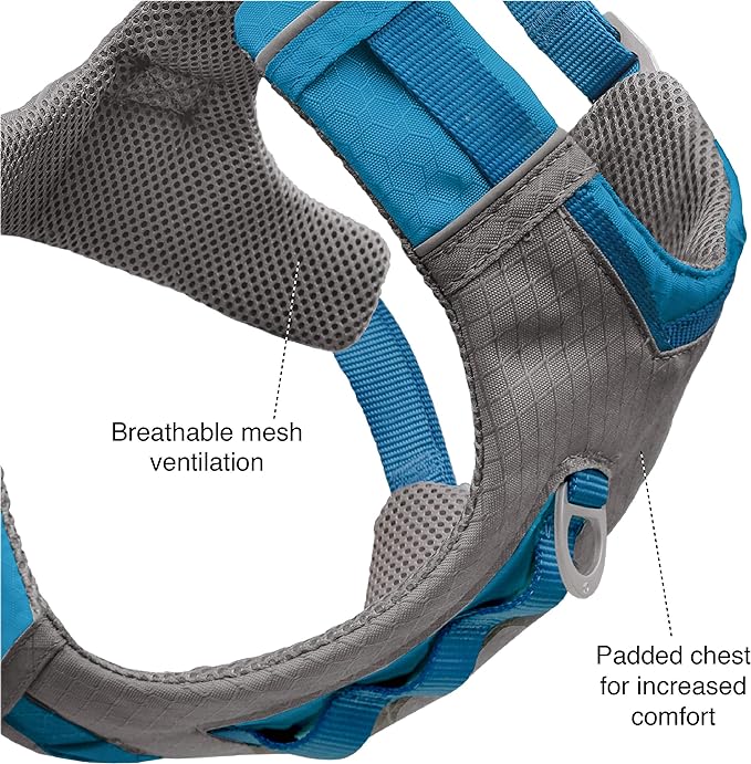 Kurgo Journey Air Dog Harness, Orange, Small | Padded Chest, Ripstop Outer & Breathable Mesh, Back Assist Handle, Rust-Free Aluminum Hardware, Reflective Trim