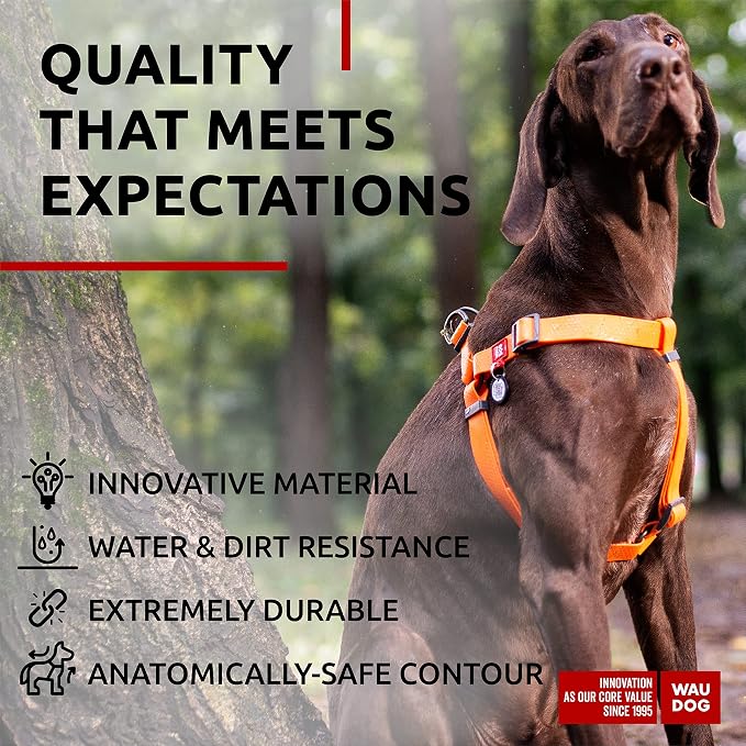 WAUDOG Waterproof Adjustable Dog Harness for Large, Small and Medium Dogs - Heavy Duty with Durable Metal Clasp and QR Tag - Boy & Girl - Orange (24-35in)