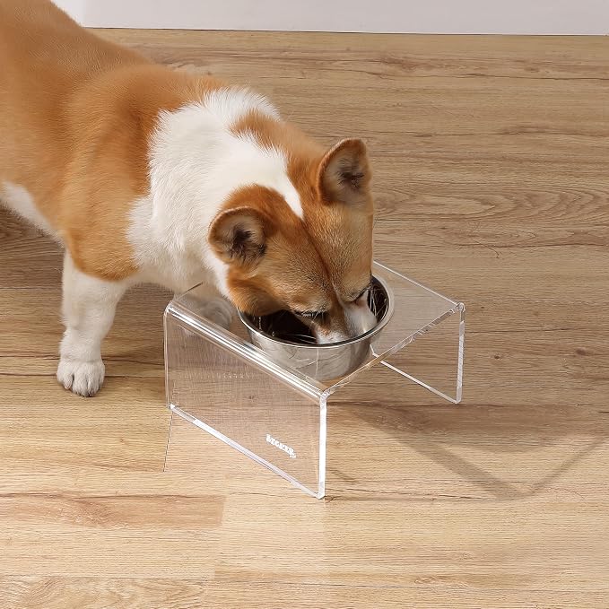 DBL2002A Keaton 5" Small/Medium Modern Acrylic Rectangular Elevated Pet Feeder with 20oz 1-Stainless Steel Bowl, Clear/Chrome