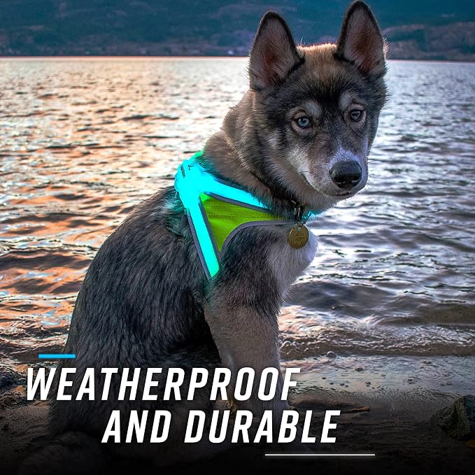 noxgear LightHound Light Up Reflective Dog Harness and Leash, X-Large | 360° Light Up Reflective Dog Harness, 8 Colors & 6 Modes, USB Rechargeable, Adjustable, Rainproof, LED Fiber Optic