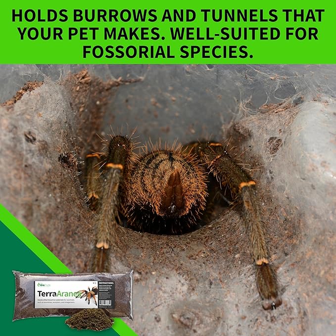 The Bio Dude Terra Aranea 6 quarts Bioactive Substrate for Tarantulas, Centipedes, Scorpions, Isopods and Millipedes Terrarium and Vivarium Habitat Bedding for invertebrates
