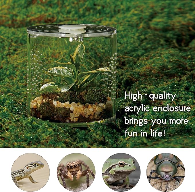 Acrylic Terrarium for Reptiles & Spiders – Small/Medium/Large Leak-Proof Enclosure (Horizontal/Vertical) | Ideal for Tarantulas, Jumping Spiders, Frogs & Geckos(Small, Round)