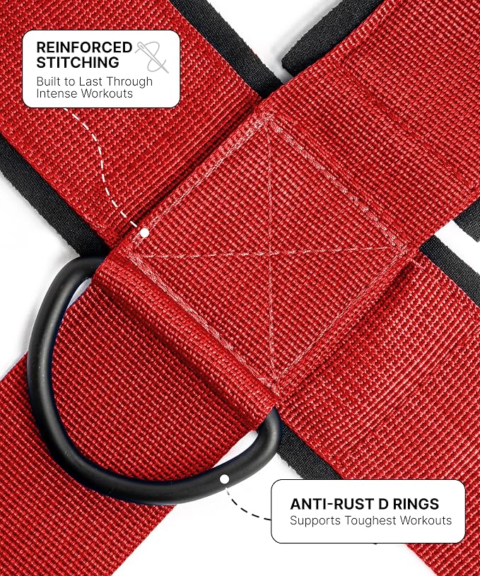 DMoose Fitness Neck Harness for Weight Lifting - Soft Padded Head & Chin Strap with 30" Heavy Duty Steel Chain - Neck Exerciser, Trainer & Strengthener to Support Injury Recovery and Intense Workouts