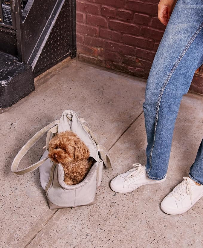 Transit Tote Dog Carrier for Small Dogs Under 8 lbs, 16x11x8 Soft-Sided 4-Pc Set with Waterproof Base, Plush Insert, Food Pouch, Mesh Head Opening - Small, Sand