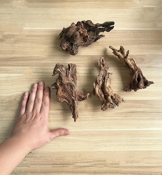 YZHZOM Small Natural Driftwood for Aquarium Styling Carefully Selected Natural Aquarium Decor Driftwood for Reptile Tank Reptile Tank Wood Decor (Driftwood 6-8inch 4pcs)
