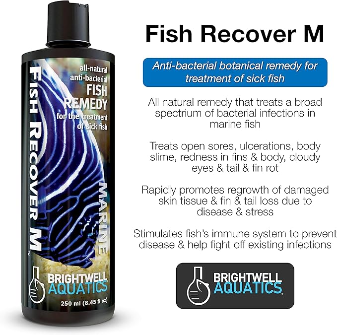 Brightwell Aquatics Fish Recover M – Botanical Remedy for Treating Marine Fish Health Issues, 1 Liter