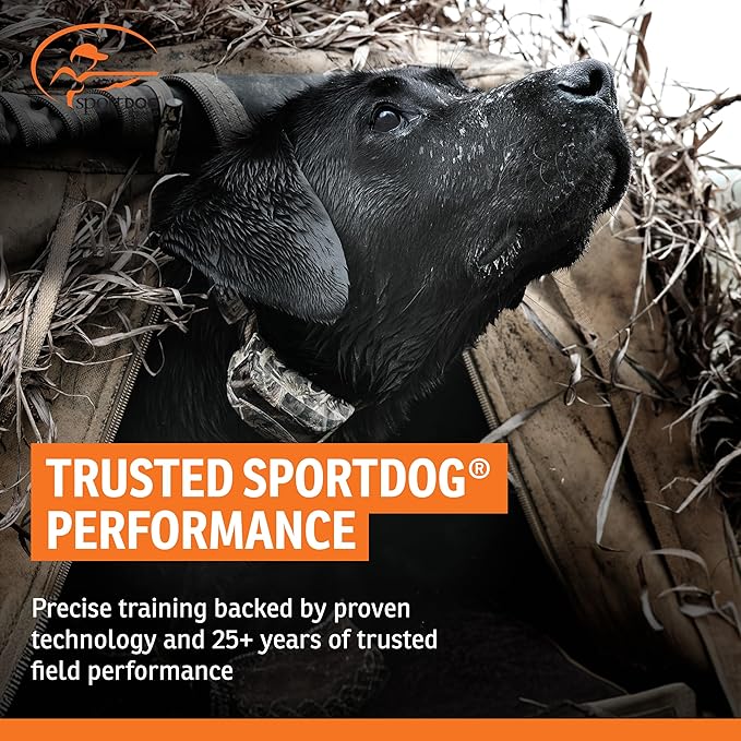 SportDOG Brand WetlandHunter 425X Camouflage Dog Static Collar with Remote and Add-A-Dog Collar - 500 Yard Range Remote Trainer - Rechargeable Dog Training Collar with Static, Vibrate, and Tone