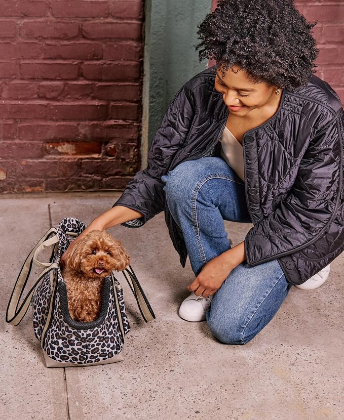 Transit Tote Dog Carrier for Small Dogs Under 8 lbs, 16x11x8 Soft-Sided 4-Pc Set with Waterproof Base, Plush Insert, Food Pouch, Mesh Head Opening - Small, Leopard