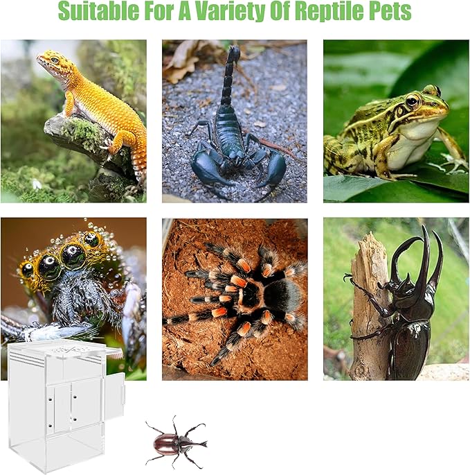 Jumping Spider Enclosure, Compact Acrylic Terrarium for Jumping Spiders, Tarantulas, and Praying Mantis - Small Insect Habitat Enclosure with Transparent Design (5.9x5.9x9.0 Inch)