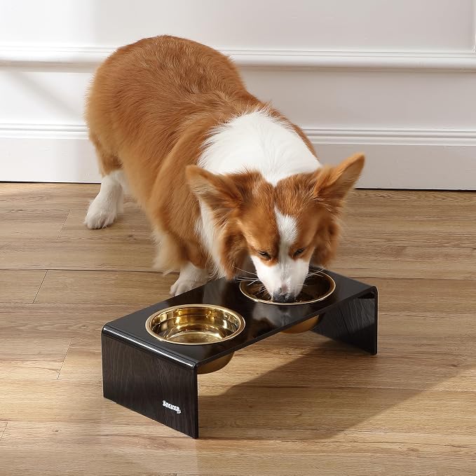 DBL2000B Keaton 5" Small/Medium Modern Lucite Rectangular Elevated Pet Feeder with 20oz 2-Stainless Steel Bowls, Black/Gold