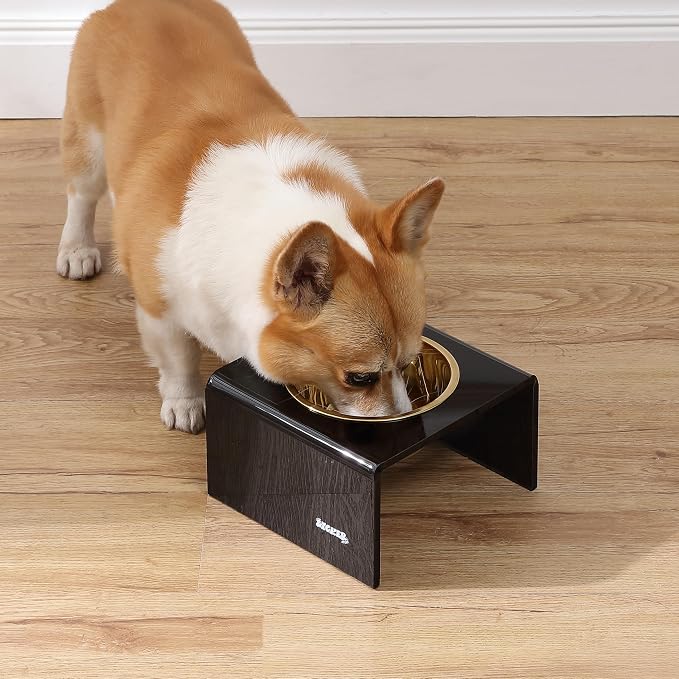 DBL2002B Keaton 5" Small/Medium Modern Acrylic Rectangular Elevated Pet Feeder with 20oz 1-Stainless Steel Bowl, Black/Gold