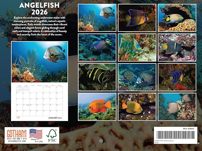 Angelfish Calendar 2026 Angel Fish Monthly Wall Calender 12 Month Tropical Fish Gifts | American Made In The USA
