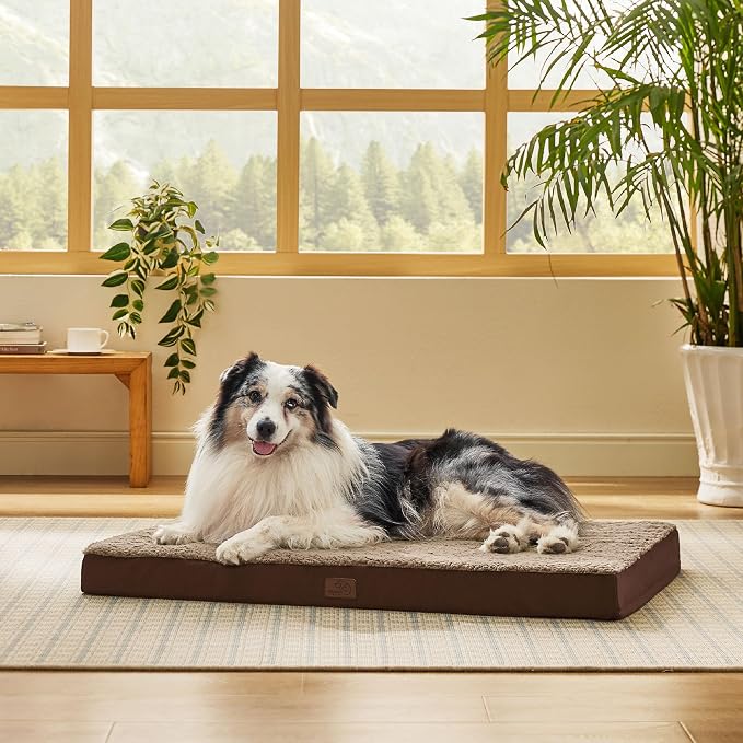 Bedsure XL Dog Bed for Crate, Pet Bed with Washable Cover, 41x27 Inch Brown | Orthopedic Egg Crate Foam, Flat Rectangle Sherpa Mat, Non-Slip Bottom, Comfy Removable Cover, For Extra Large Pets ≤ 65 lbs