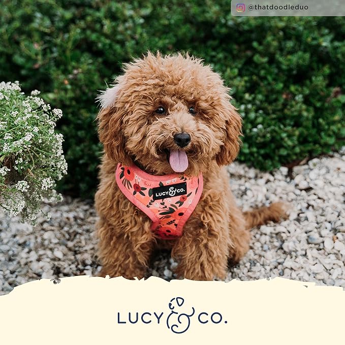 Lucy & Co. Reversible Dog Harness - Water-Repellent Neoprene, Dual-Print Design, Easy Swap Style, Adjustable Comfort Fit - Posy Pink Reversible Harness - Medium