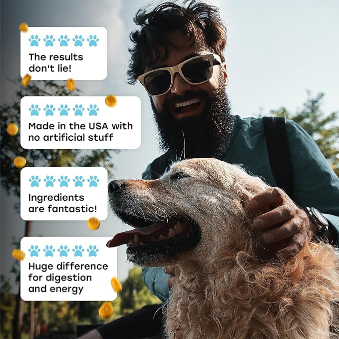 Probiotics for Dogs – 1 Billion CFU 6-Strain Probiotic Chews with Pumpkin, Papaya, Turmeric – Digestive Health, Gut Health, Itchy Skin and Allergy Support for All Breeds, Beef Flavor