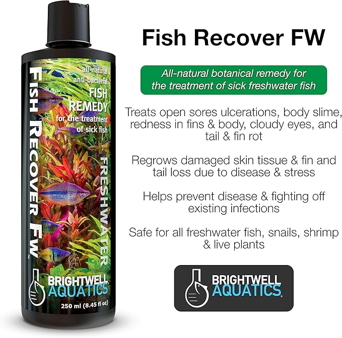 Brightwell Aquatics Brightwell Fish Recover FW - All-Natural Fish Remedy for Treating Sick Freshwater Fish, 4 Liter
