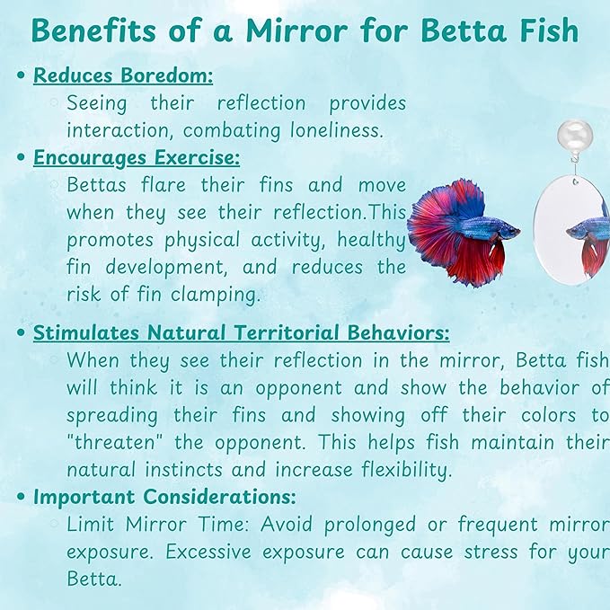 Betta Fish Enrichment Toys Ring with Mirror and Floating Ball, Exercise Mirrors and Training Ring, Floating Mirrors Aquarium with Feeding Rings, Betta Fish Tank Accessories (Pink+Mirror+Ball, 6.4cm)