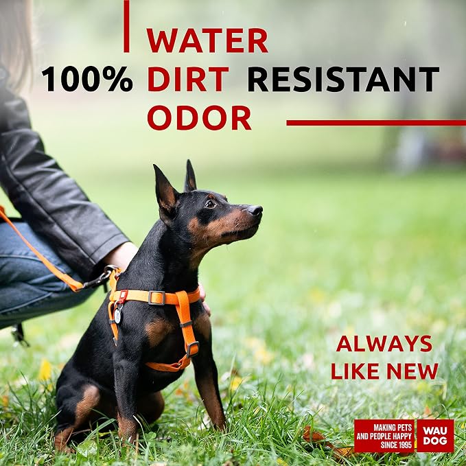 WAUDOG Waterproof Dog Harness - Adjustable for Large, Small and Medium Dogs - Heavy Duty with Durable Metal Clasp and QR Tag - Boy & Girl - Orange (16-22in)