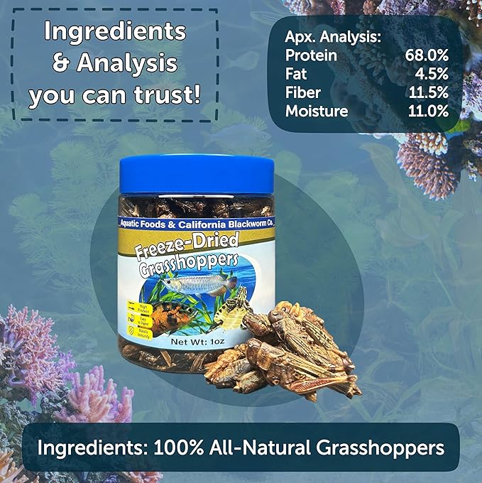 Aquatic Foods Inc. Grasshoppers, Freeze Dried Grasshoppers for Large Tropical Fish, Monster Fish, Reptiles, Turtles, Tortoises, Frogs, Hamsters, Birds, Rodents 2.3oz Canister