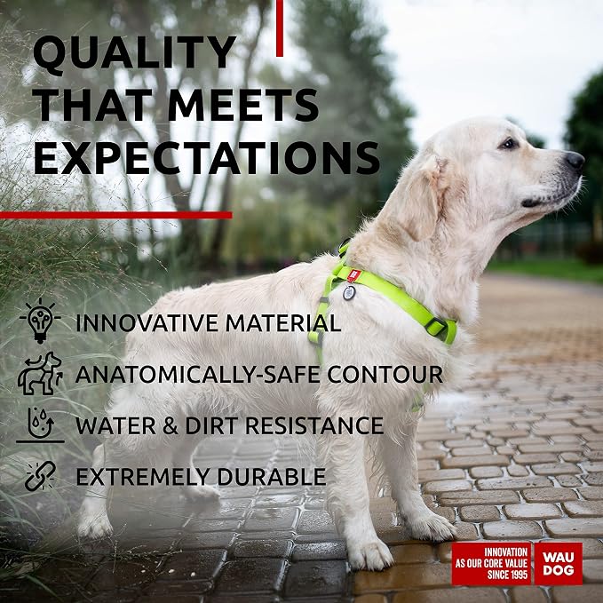WAUDOG Waterproof Harness - Adjustable for Large, Medium & Small Dogs - Heavy Duty with Metal Clasp, QR Tag - Green (24-35in)