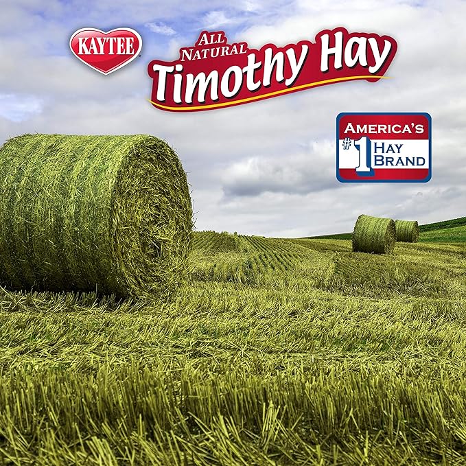 Kaytee Timothy Hay Blend Cubes for Pet Rabbits, Guinea Pigs, Chinchillas, and Other Small Animals, 1 Pound, (Pack of 2)