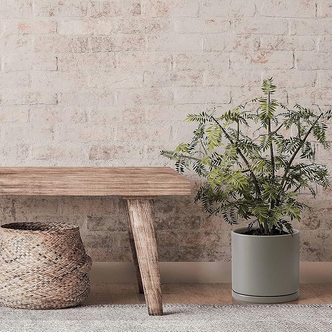D'vine Dev 8 Inch Ceramic Planter Pot, Grey, 94-O-D-3 | Modern Cylinder Design, Drainage Hole & Saucer Included, Stable Structure, Elegant Home Accent