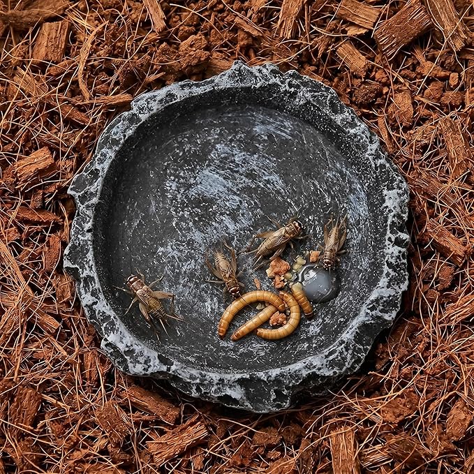 2 Pack Reptile Water and Food Bowls, Feeding Dish for Leopard Gecko, Lizard, Spider, Scorpion, Chameleon - Breadworm Feeding (2Pcs Round)