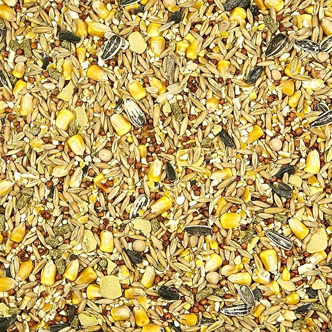 Kaytee Backyard Wildlife Food Blend for Wild Squirrels, Chipmunks, Rabbits and Other Backyard Wildlife, 5 Pound, (Pack of 2)