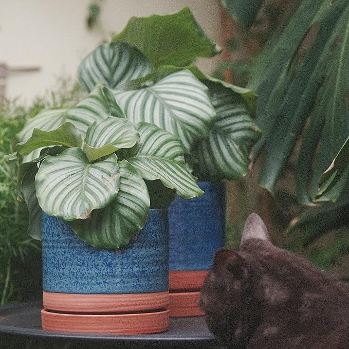 HERDUK 6 + 8 Inch Plant Pots, Ceramic Planter Pot with Drainage Hole & Saucer, Indoor/Outdoor Cylinder Round Planter Pot, Aqua Blue & Terracotta