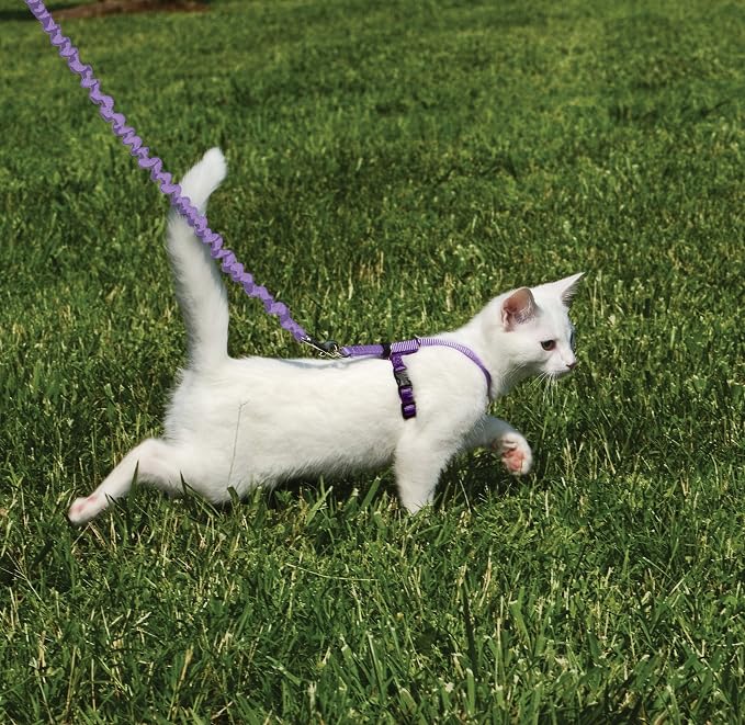 PetSafe Come with Me Kitty Harness and Bungee Cat Leash, Lilac, Small | Adjustable 2-Point Fit Applies Gentle Pressure to Shoulders, Not Neck, for Kittens and Small Cats with 9 in - 11 in Girth