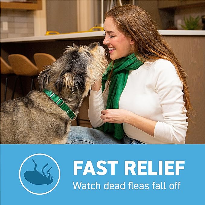Capstar (Nitenpyram) Fast-Acting Oral Flea Treatment for Dogs 2-25 Lbs, Vet-Recommended Medication Tablets, Flea Tablets for Dogs Start Killing in 30 Minutes, 12 Doses (Includes Two 6-Count Boxes)