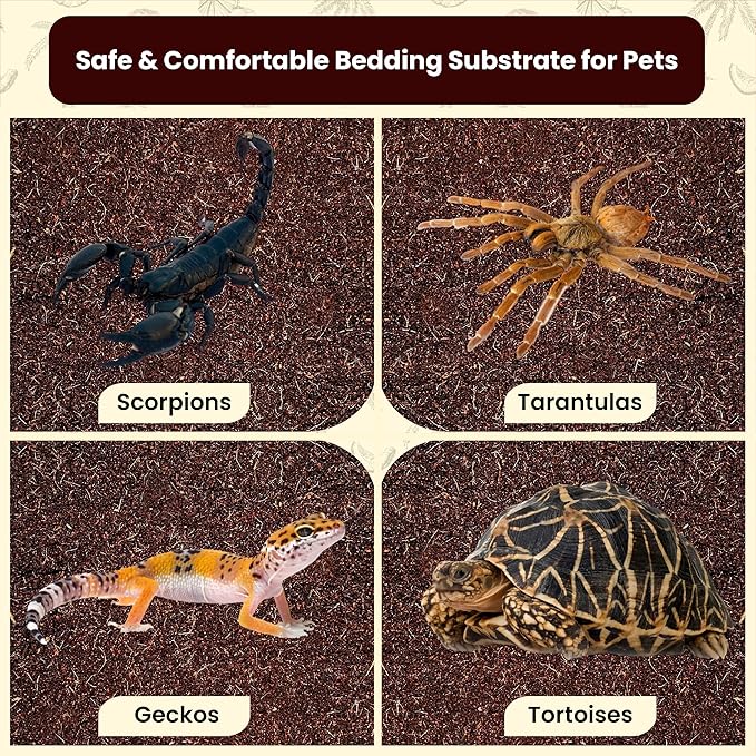 Gro-Med ReptiCare Coconut Fiber Substrate for Reptiles 12 Q, Organic Ready to Use - Odor Absorbent Coco Coir Terrarium Bedding for Ball Pythons, Boas, Snakes, Tortoises, Geckos, Frogs and Tarantulas