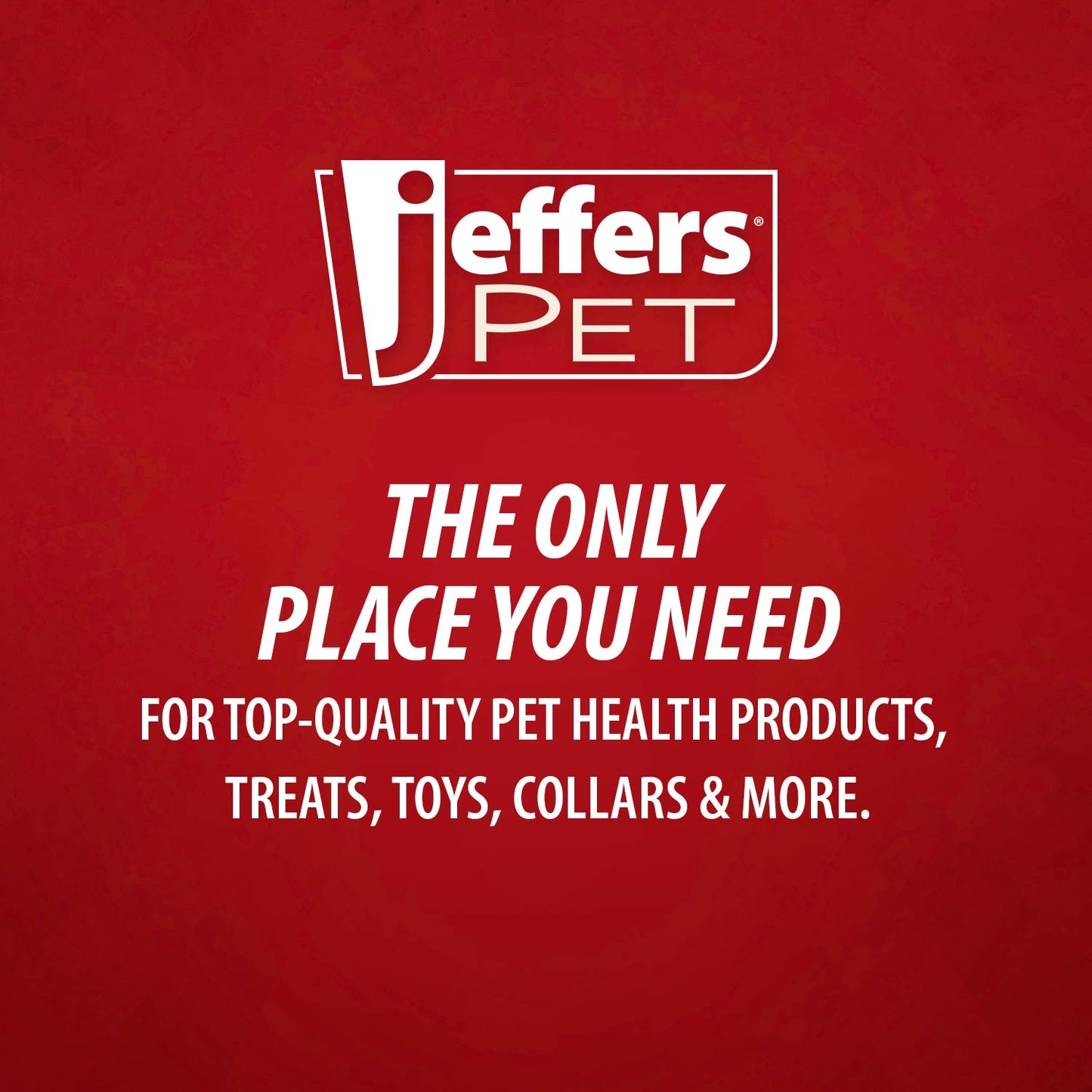 Jeffers Red Chameleon Natural Eco-Friendly Rubber Dental Dog Chew Toy for Medium Chewers