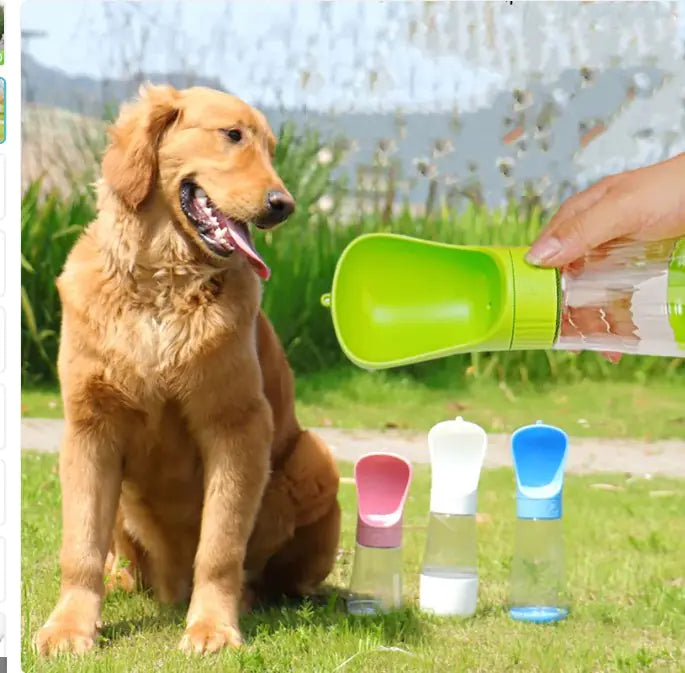 2-in-1 Portable Dog Water Bottle with Built-In Bowl