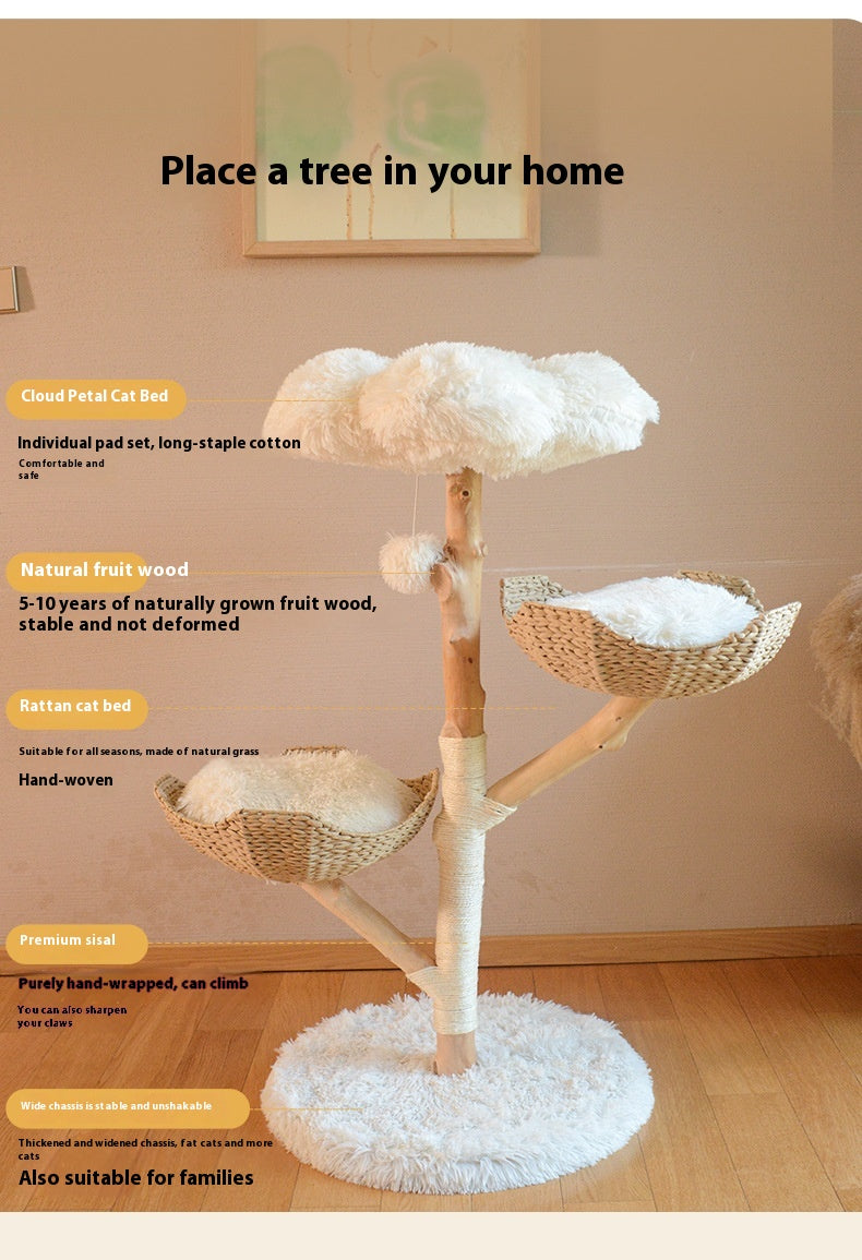 9875d7bb630e49c7dbf86f80cbe8d76f