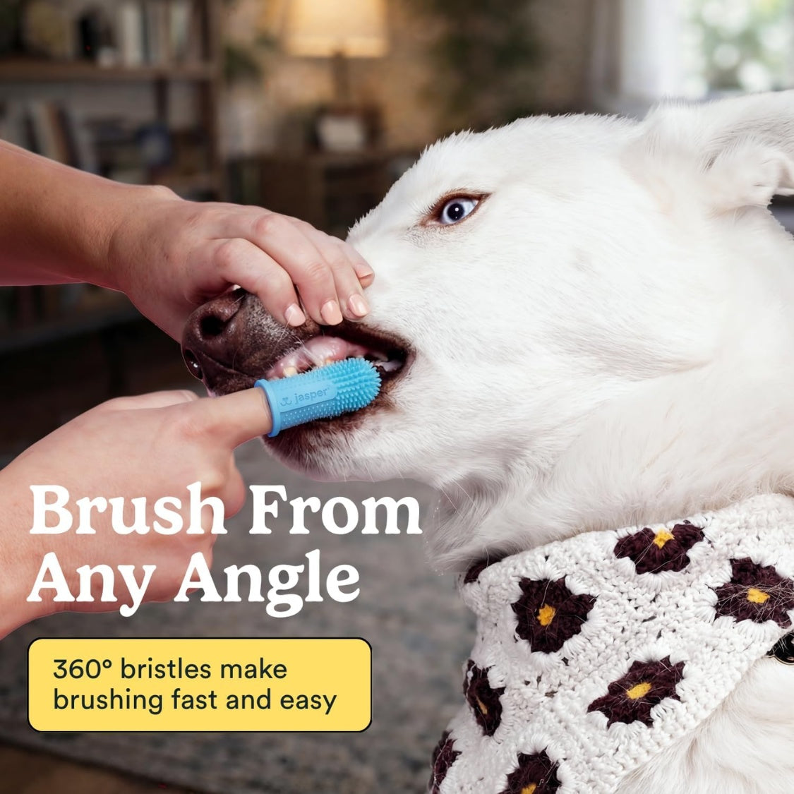 4ae9c62388203c6c4d78bcc183ed7aef