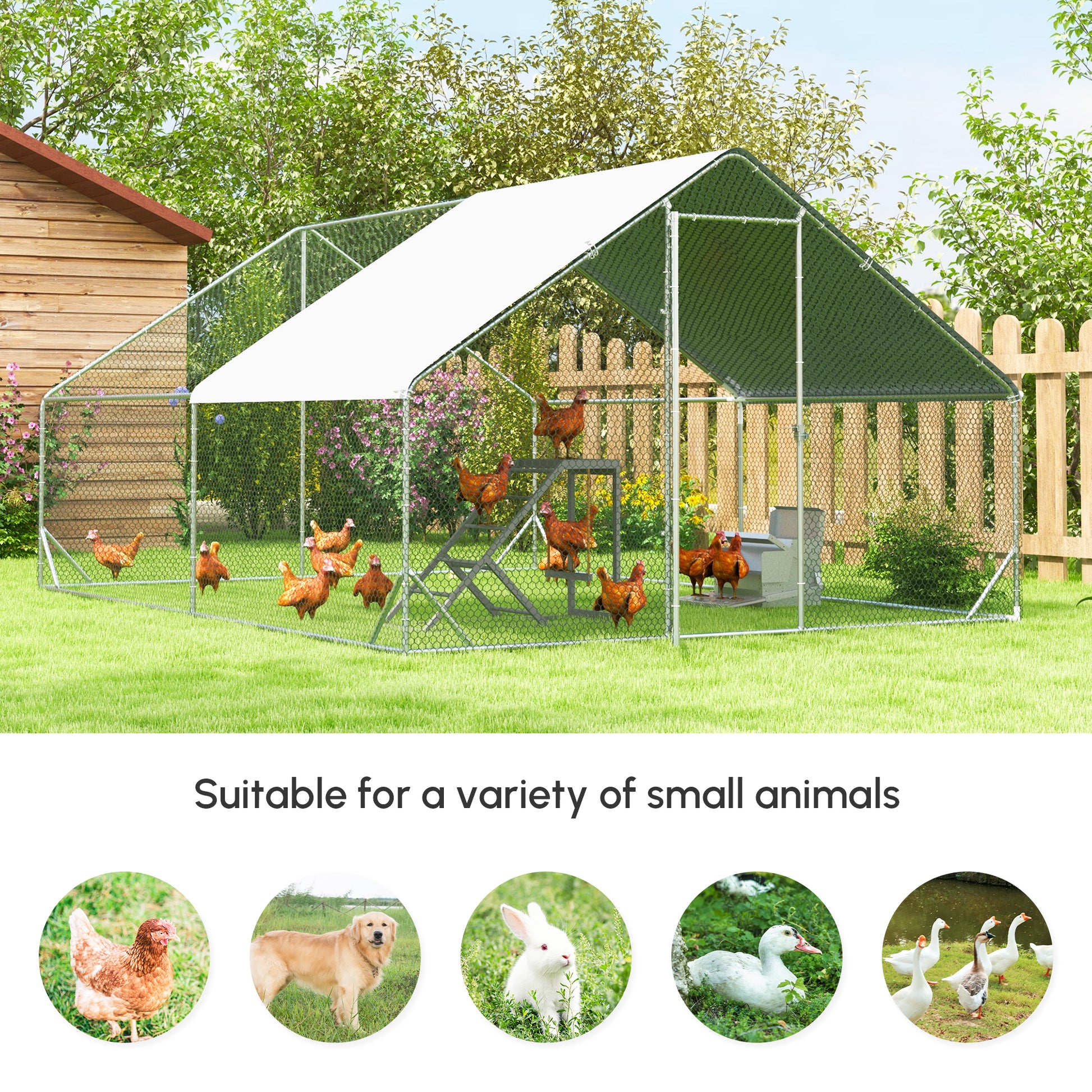 4cb3617f744b11f42ecac8e47e6725fd