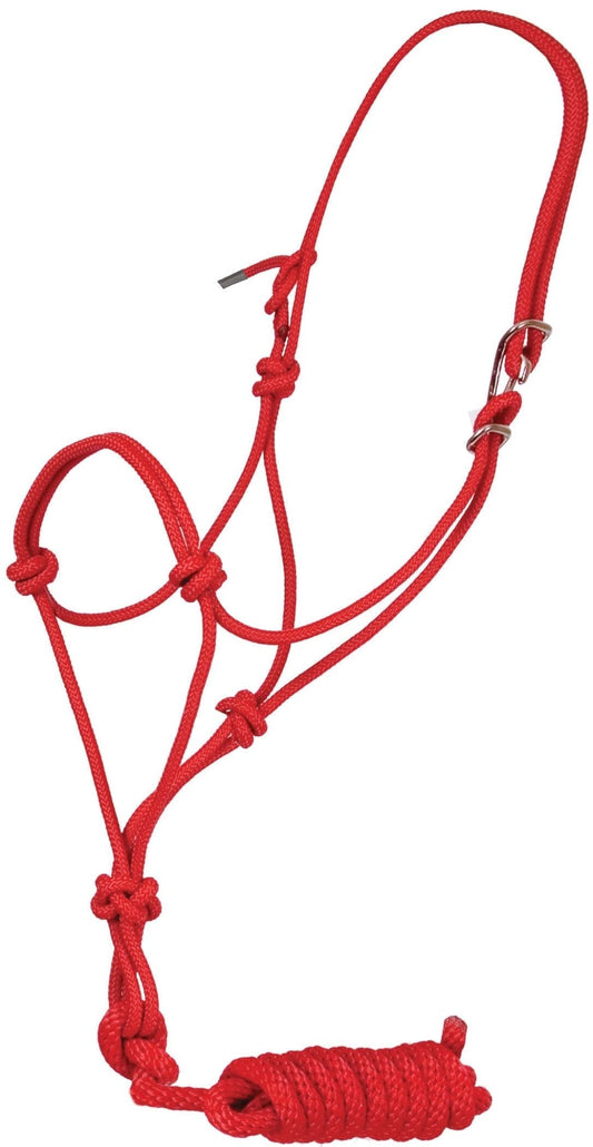 Jeffers Easy-On Clip Nylon Rope Horse Halter with Lead