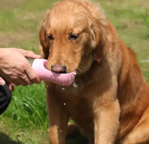 2-in-1 Portable Dog Water Bottle with Built-In Bowl